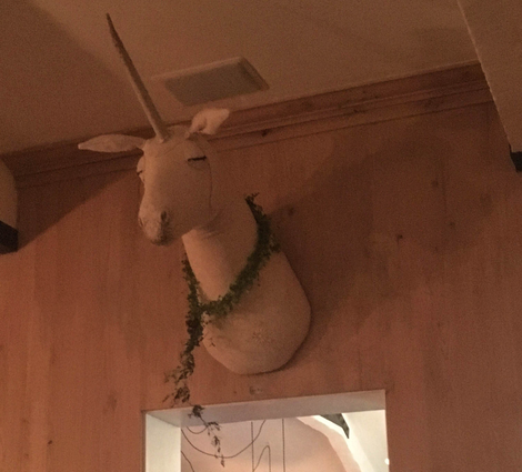Unicorn taxidermy